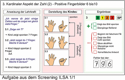 ILSA-Screeningbogen Grafik
